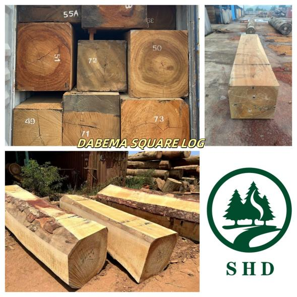 Dabema Wood (7) Dabema Wood (7)