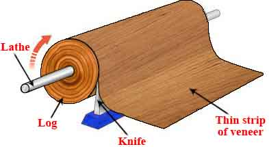 Okoume (3) Okoume (3)