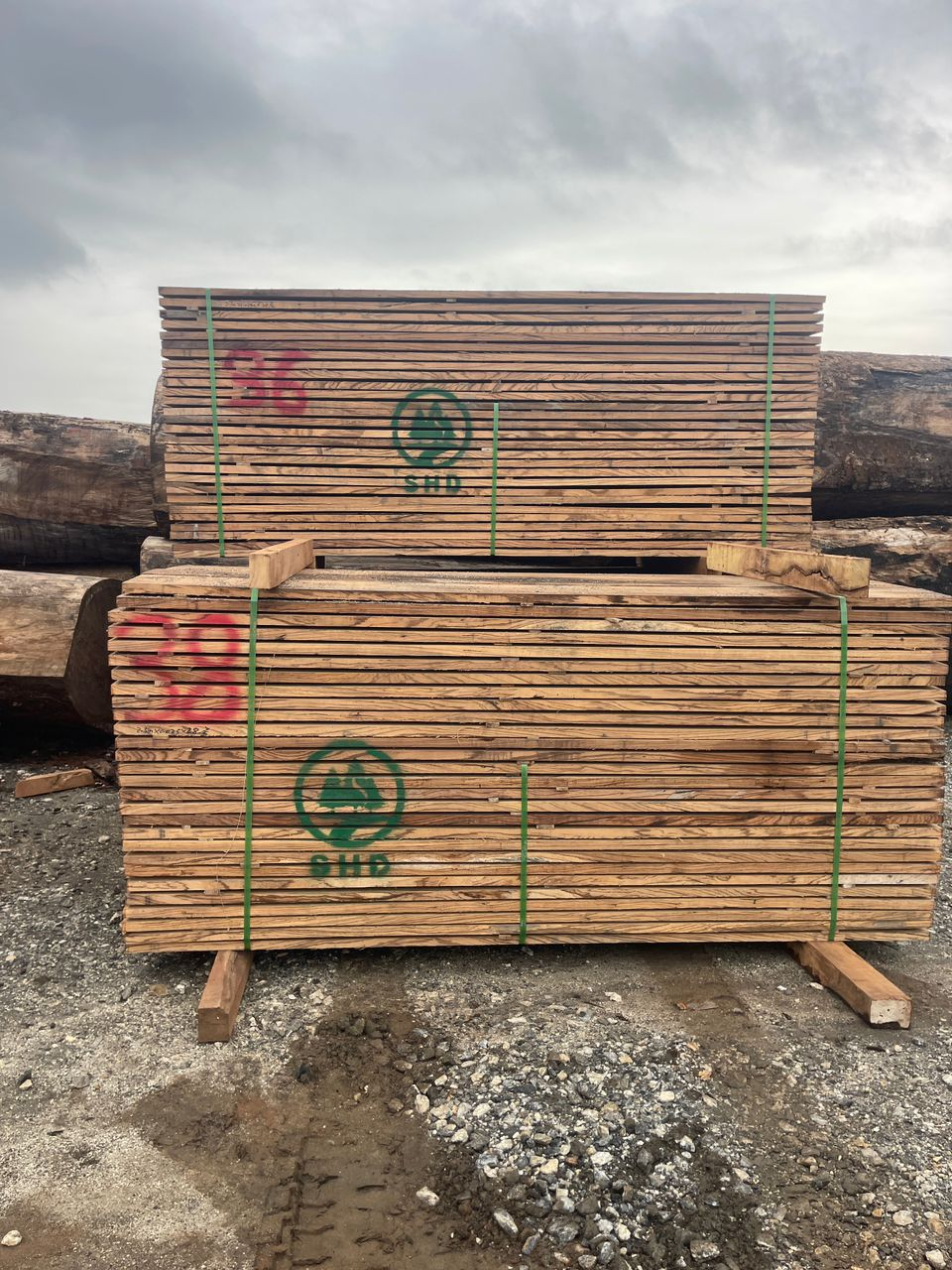 Professional Q&A on ZEBRA Wood - HONG KONG Senheda wood company (2) Professional Q&A on ZEBRA Wood - HONG KONG Senheda wood company (2)