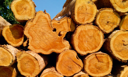 Teak Wood Construction Teak Wood Construction