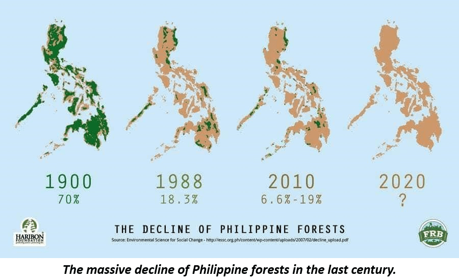 Philippine Timber Market Philippine Timber Market