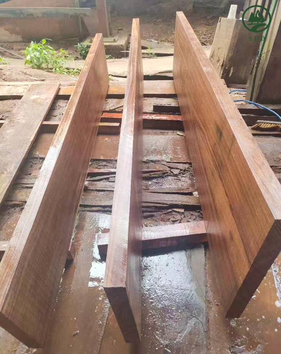 African Teak (13) African Teak (13)