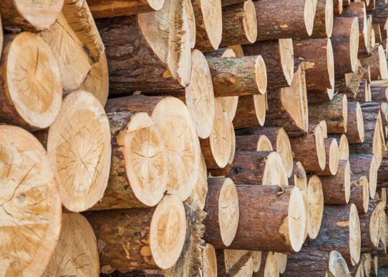 Is Timber Hardwood Is Timber Hardwood