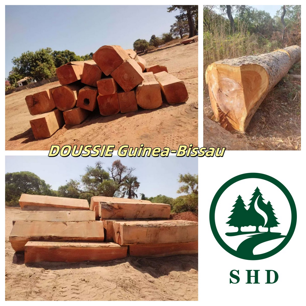 Doussie Timber (2) Doussie Timber (2)