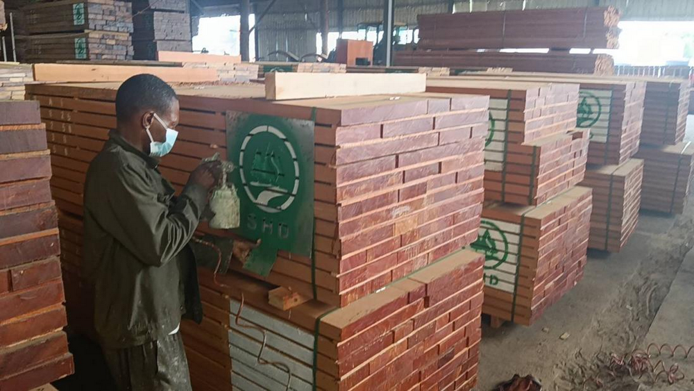 Sapelli (2) Sapelli (2)