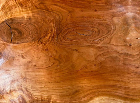 Zambia Lumber Companies Zambia Lumber Companies