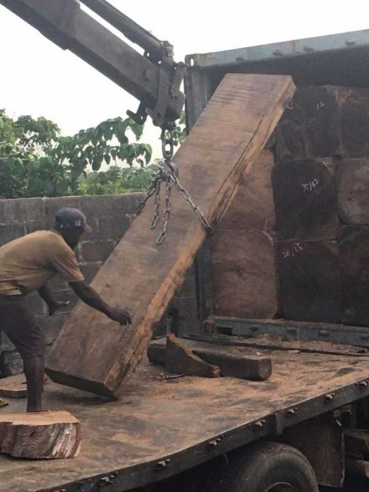 Premium African Hardwood for Versatile Modern Applications Premium African Hardwood for Versatile Modern Applications