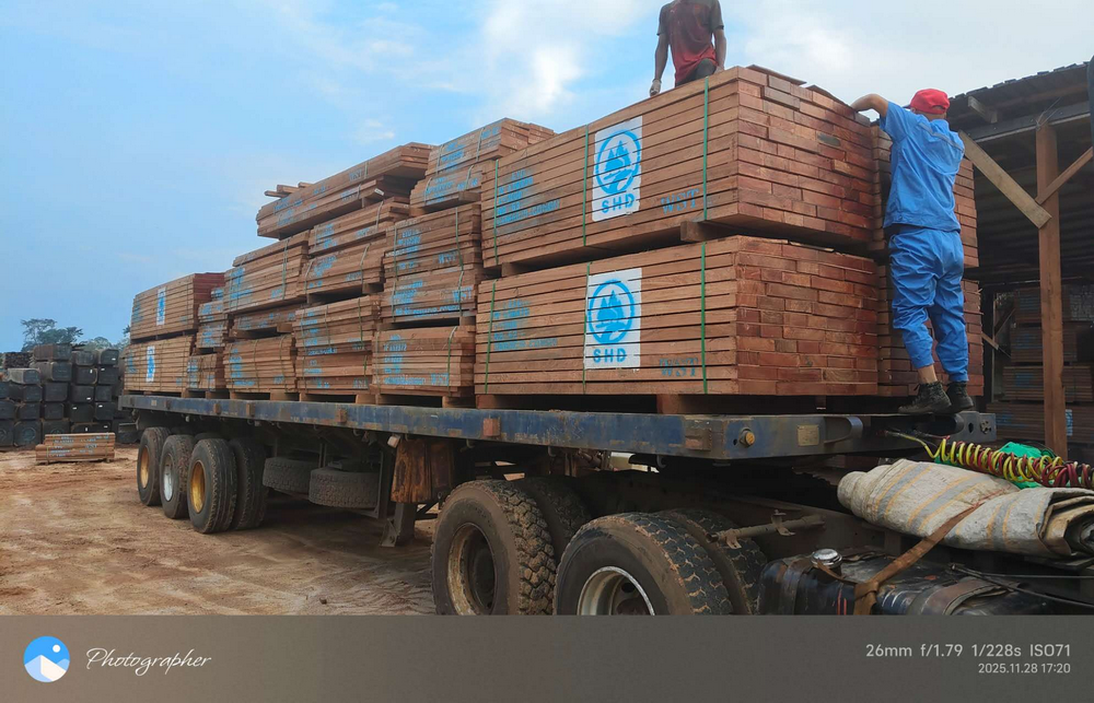 SHD WOOD (15) SHD WOOD (15)