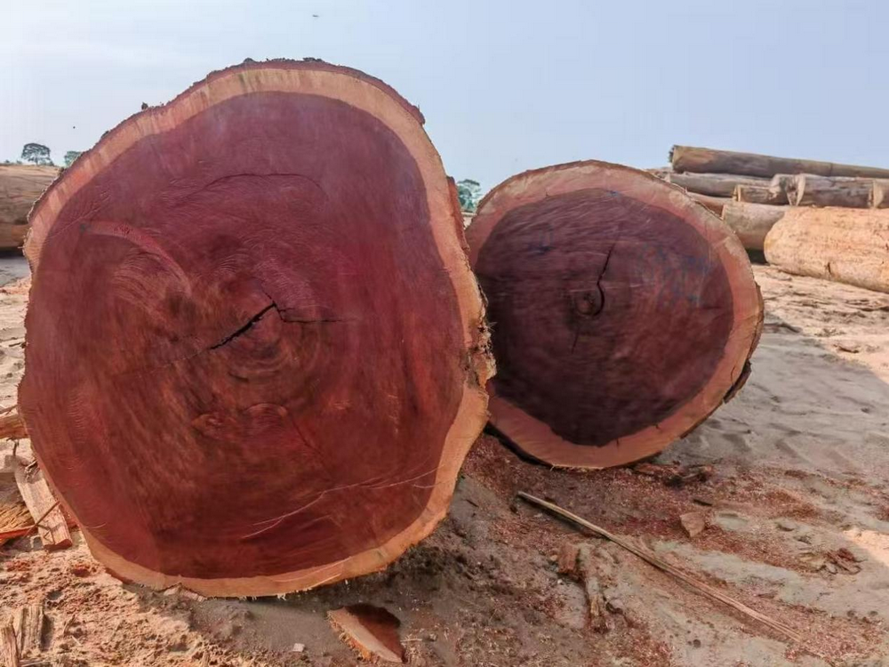 AZOBE Wood (2) AZOBE Wood (2)