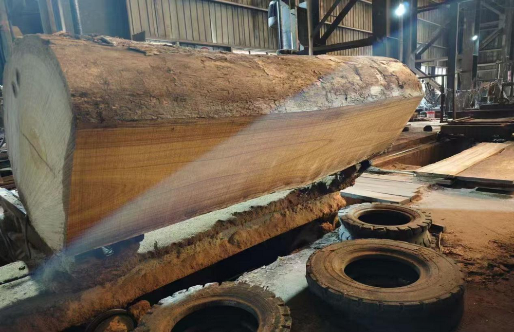 Dibetou (4) Dibetou (4)