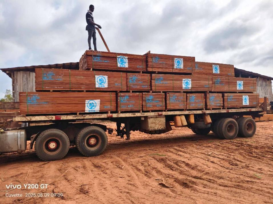 SHD WOOD (5) SHD WOOD (5)