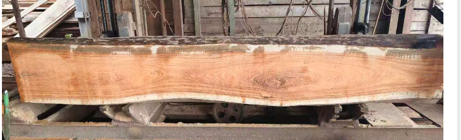 ZEBRAWOOD (5) ZEBRAWOOD (5)