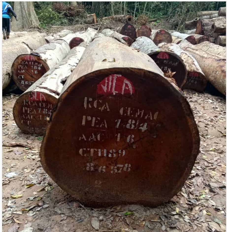 Dibetou (2) Dibetou (2)