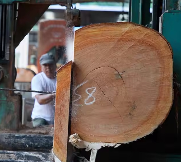 Is A Beli Wood Cutting Board Safe for Your Knives And Easy To Clean?