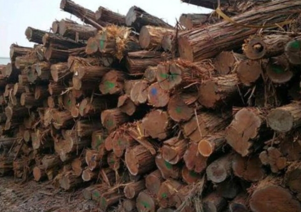 Best Mussivi Wood Manufacturers And Suppliers in Russia