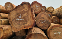 //iprorwxhlpqrlp5p.ldycdn.com/cloud/liBpiKmiliSRkllkjnmkkq/Top-10-Azobe-Round-Logs-Suppliers-in-China.jpg