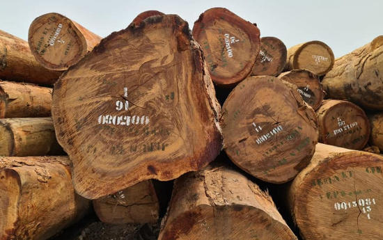 Top 10 Azobe Round Logs Suppliers in China