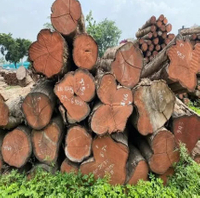 //iprorwxhlpqrlp5p.ldycdn.com/cloud/liBpiKmiliSRkllkjnplkq/Azobe-Wood-Distributors-China.jpg
