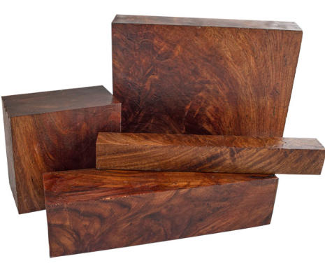 Jatoba Wood Môi trường sống tự nhiên
