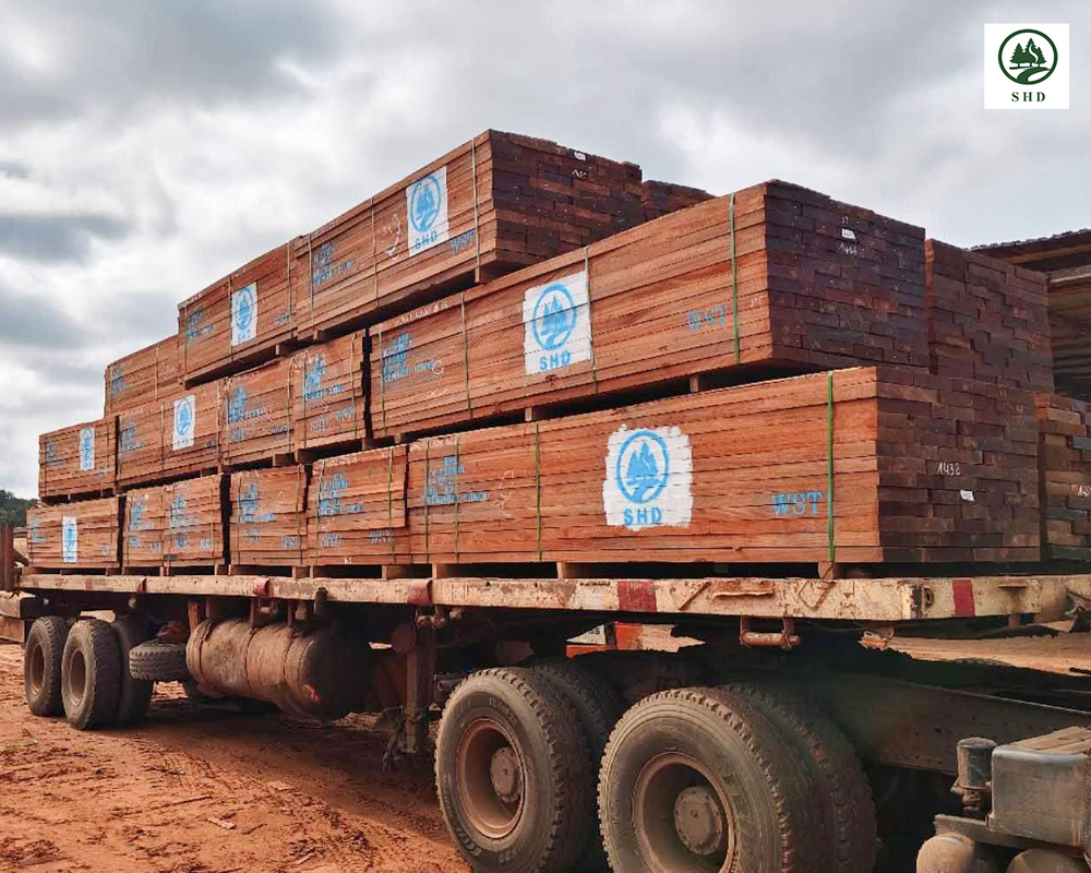 Tropical Timber (3)