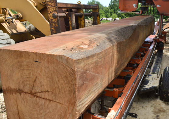 What Is Jatoba Wood Used For?