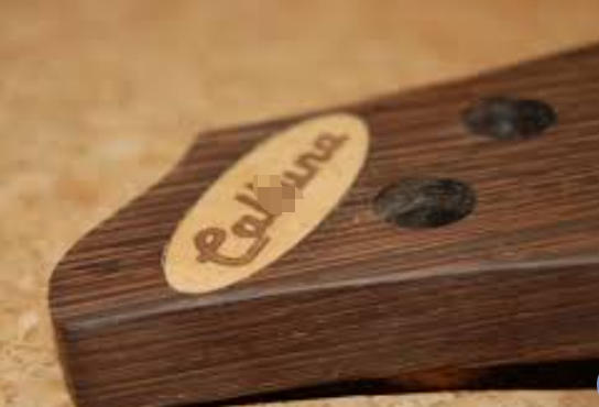 How To Get A Headstock Logo on Wenge Wood?