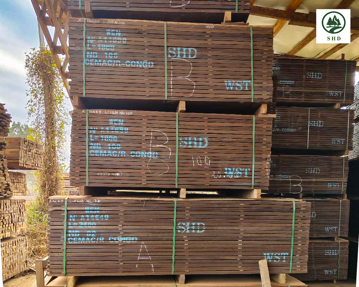 Africa&rsquo;s Top 5 Countries by Timber Standing Volume The Congo Basin Dominates All (4)