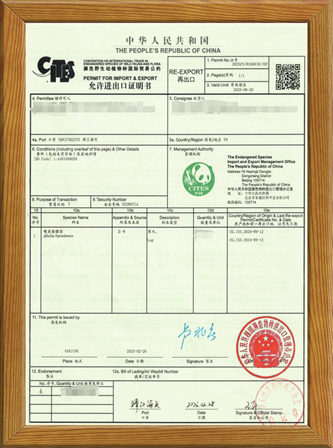 China cita
