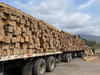Teak Wood