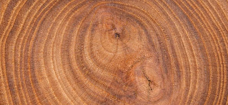 What Is Teak Wood?