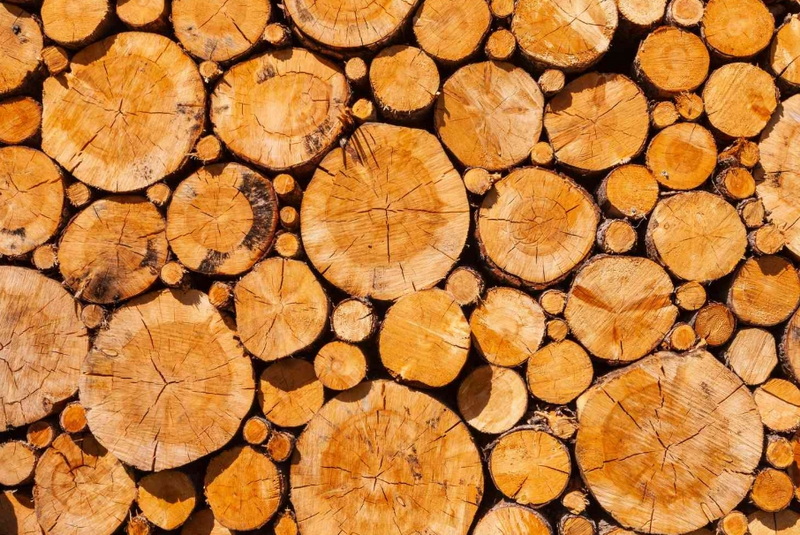 What Are the Top Benefits of Buying Timber in Bulk