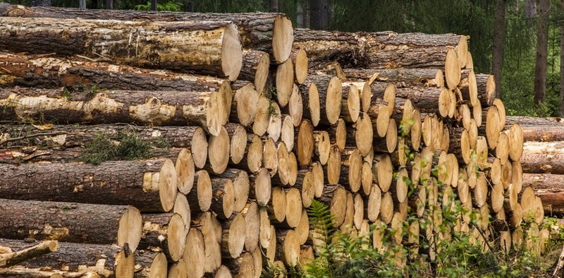Large Scale Wood Buying