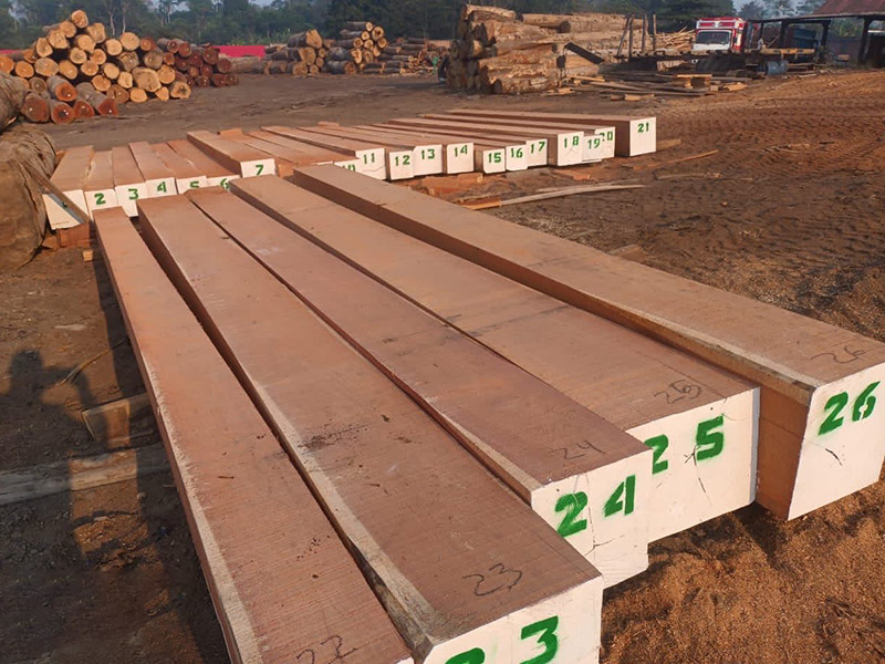 How Durable Is China Balsamo Wood for Use in Outdoor Applications?