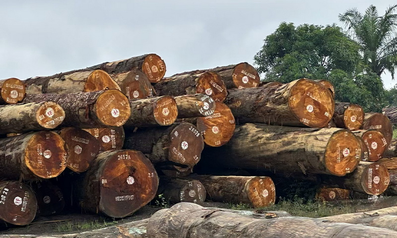 Timber Wholesale Vs Retail: Which Is Right for Your Business?