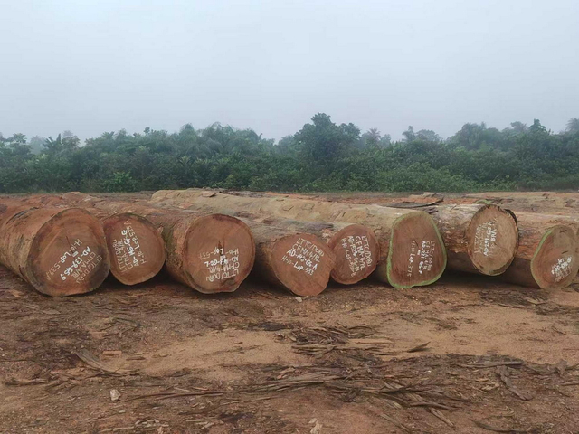 Azobe Round Logs