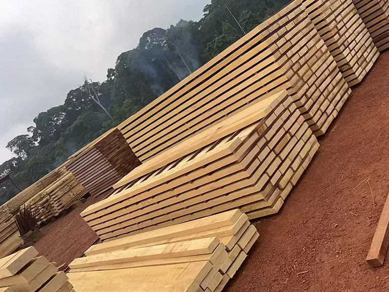 Premium Movingui Wood China