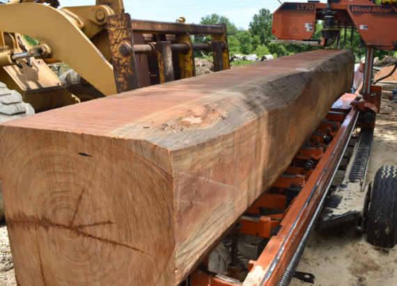 What Is Jatoba Wood