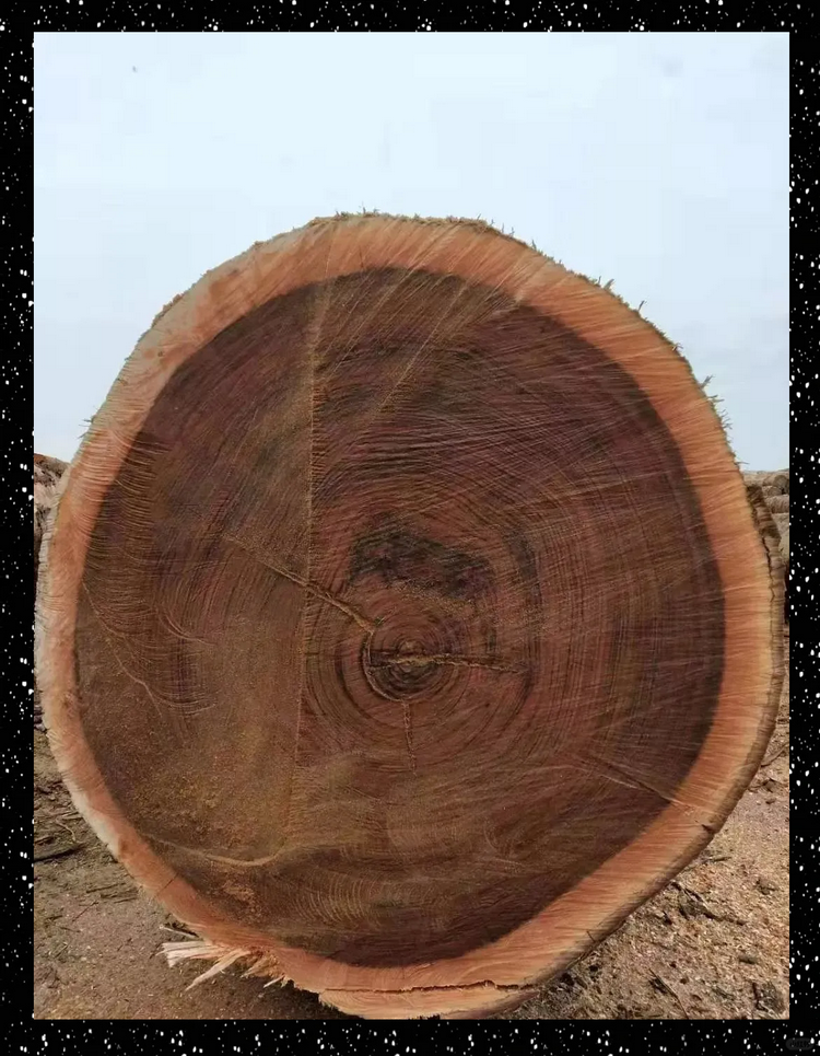 ovangol wood (1)