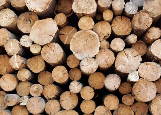 Hardwood Flooring Suppliers Zambia