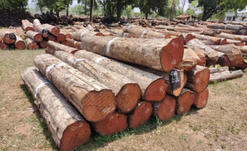 Top 10 Azobe Wood Suppliers in China