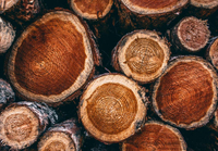 //iprorwxhlpqrlp5p.ldycdn.com/cloud/ljBpiKmiliSRllirmmlkkq/How-Do-You-Refinish-Teak-Wood.jpg