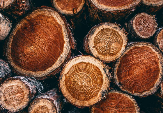 How Do You Refinish Teak Wood
