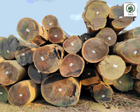 //iprorwxhlpqrlp5p.ldycdn.com/cloud/ljBpiKmiliSRllnmimplkp/Top-5-Best-African-Hardwood-Supplier-Brands-in.png