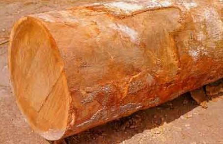 Jatoba Wood Strength