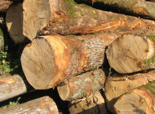 Top 10 Bilinga Timber Suppliers in China