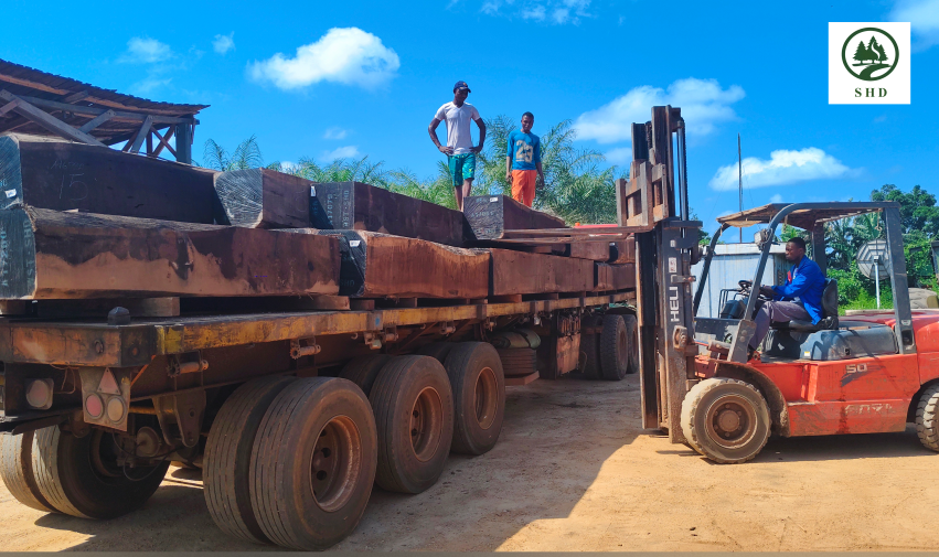 African Hardwood (3)