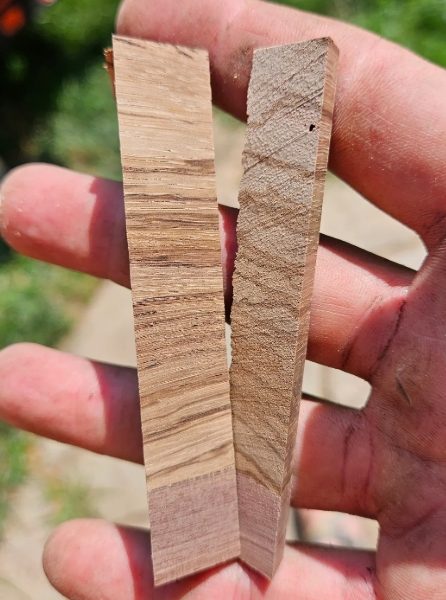 Zebra Wood Joint Strength