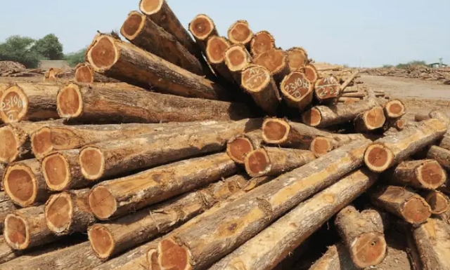 Where Does Teak Wood Come From?