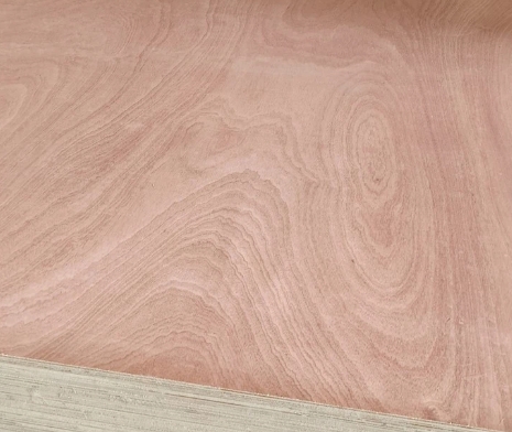 Is Okoume Wood Good for Electric Or Acoustic Guitars?