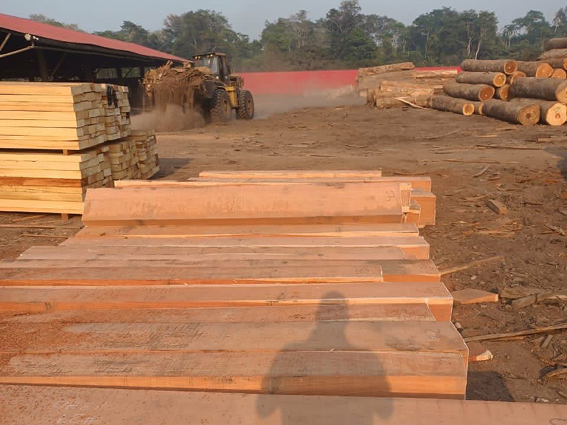 What Are The Benefits of Using Chinese Balsamo Wood for Furniture?